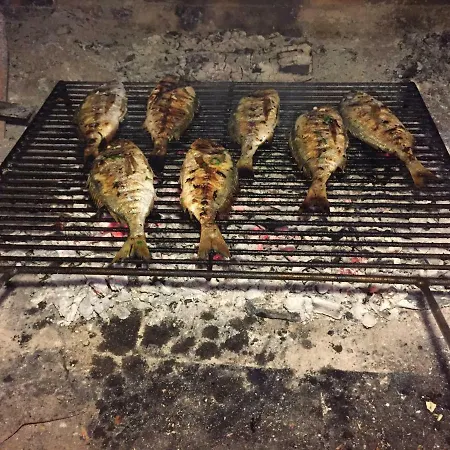 Culina * פוסדריה